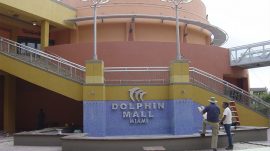 Dolphin-Mall-2