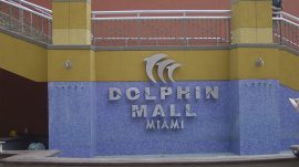 Dolphin-Mall-3