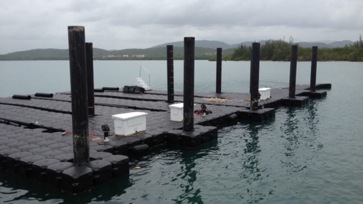 Title: Installation of New Steel Piles and Floating Docks
Location: Roosevelt Roads Base, PR
Value: $527,200.00
Awarded: 2012